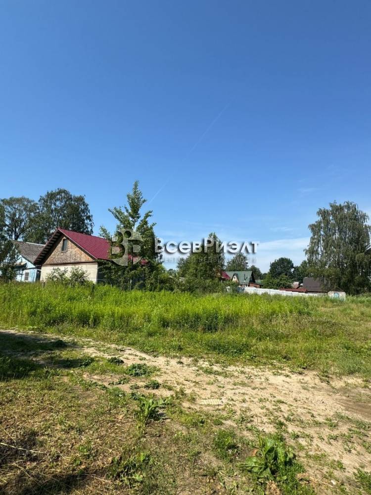 8изображение whatsapp 2025-08-11 в 10.34.11_4b0c12b9