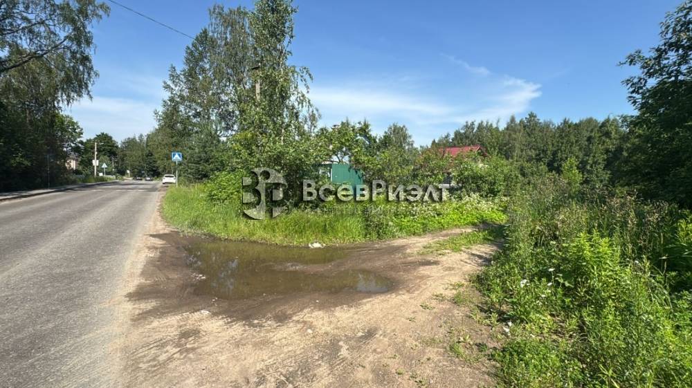 10изображение whatsapp 2025-08-11 в 10.34.12_0e48c90d