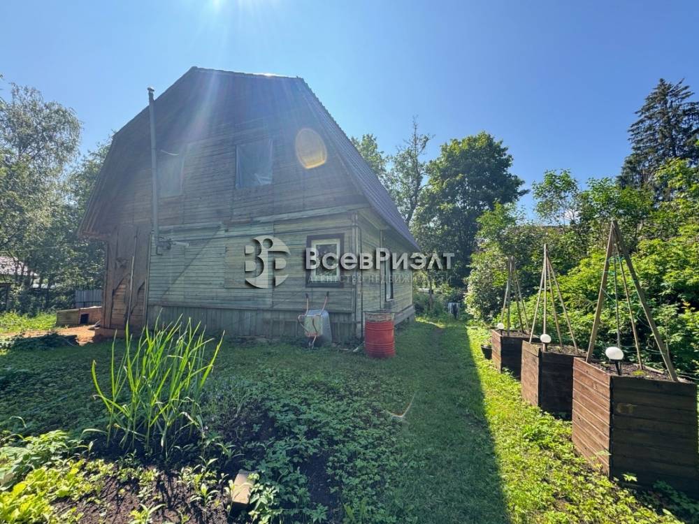 103изображение whatsapp 2025-06-22 в 13.48.18_83dd2d02