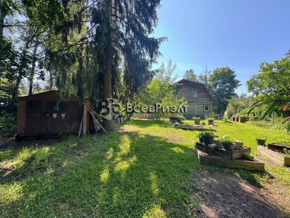 121изображение whatsapp 2025-06-22 в 13.48.19_f29aaf9c