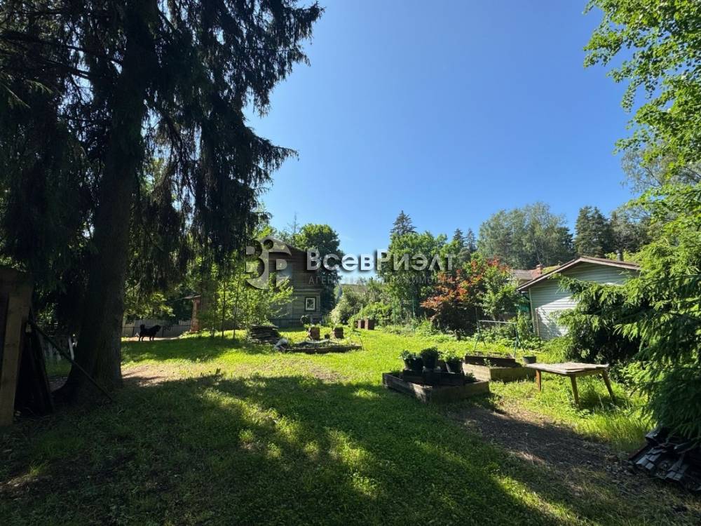 123изображение whatsapp 2025-06-22 в 13.48.20_3cd44cea