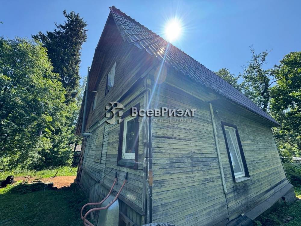 104изображение whatsapp 2025-06-22 в 13.48.18_33b59d2a