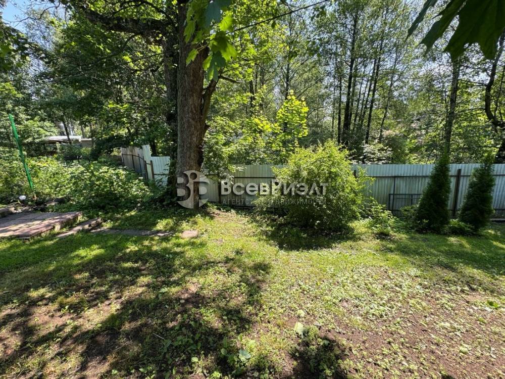 105изображение whatsapp 2025-06-22 в 13.48.17_7766caa3