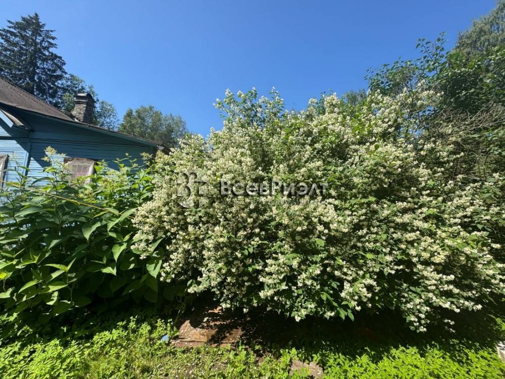 105изображение whatsapp 2025-06-22 в 13.48.20_0c57bca6