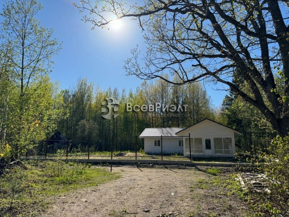 2изображение whatsapp 2024-05-18 в 18.34.42_f0c100f5