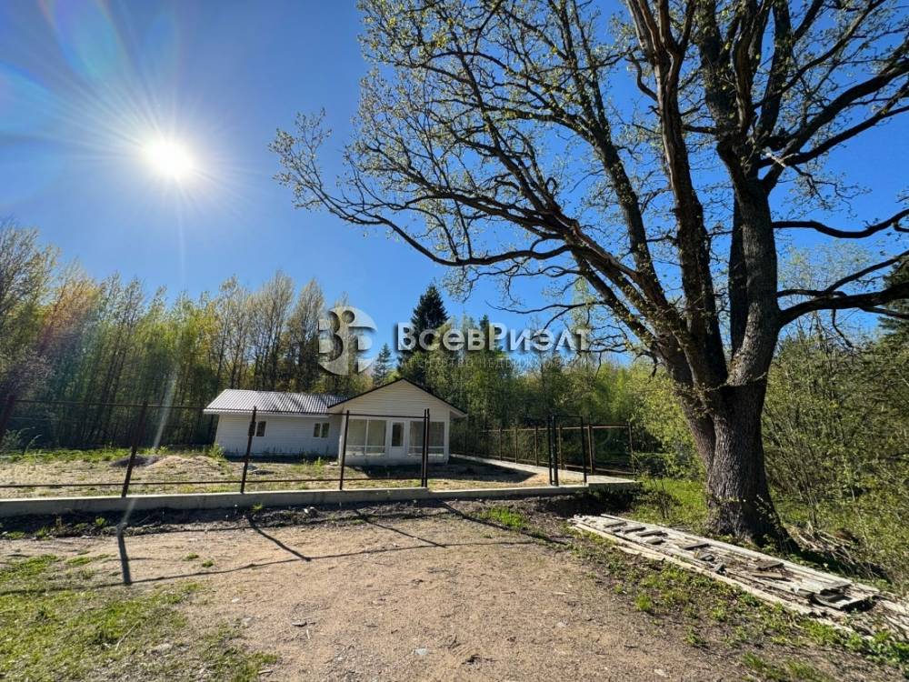 7изображение whatsapp 2024-05-18 в 18.34.45_81eb54bd