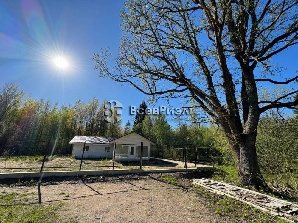 8изображение whatsapp 2024-05-18 в 18.34.45_c772290c