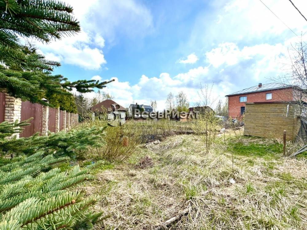 8изображение whatsapp 2024-05-08 в 22.08.10_377f5b95