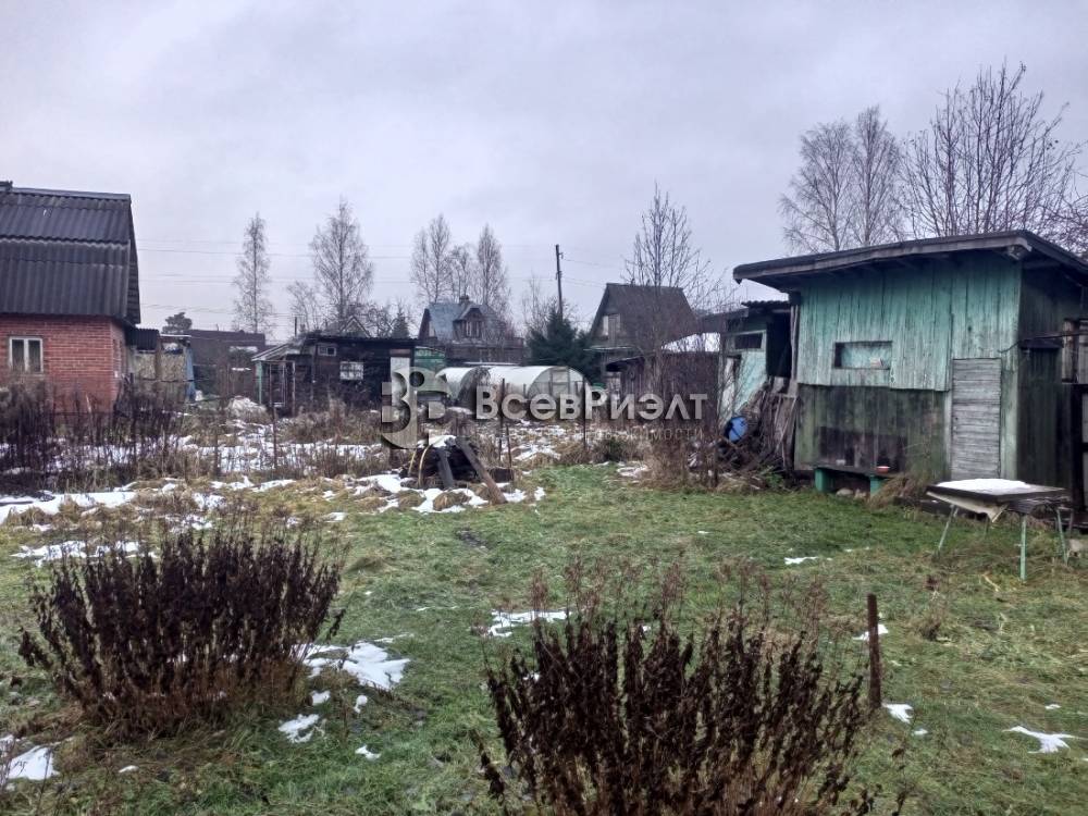 img_20251130_135630_224