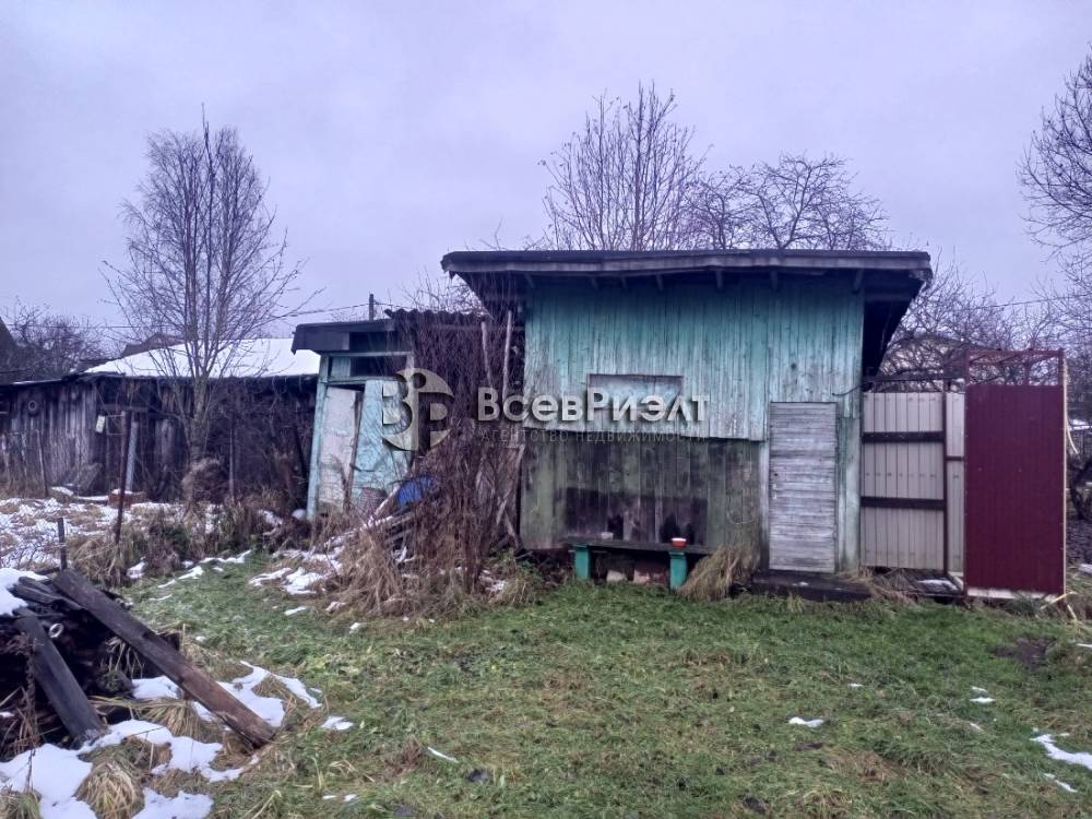 img_20251130_135657_484 (1)