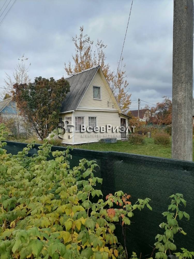 1изображение whatsapp 2025-10-13 в 10.09.05_d48116df