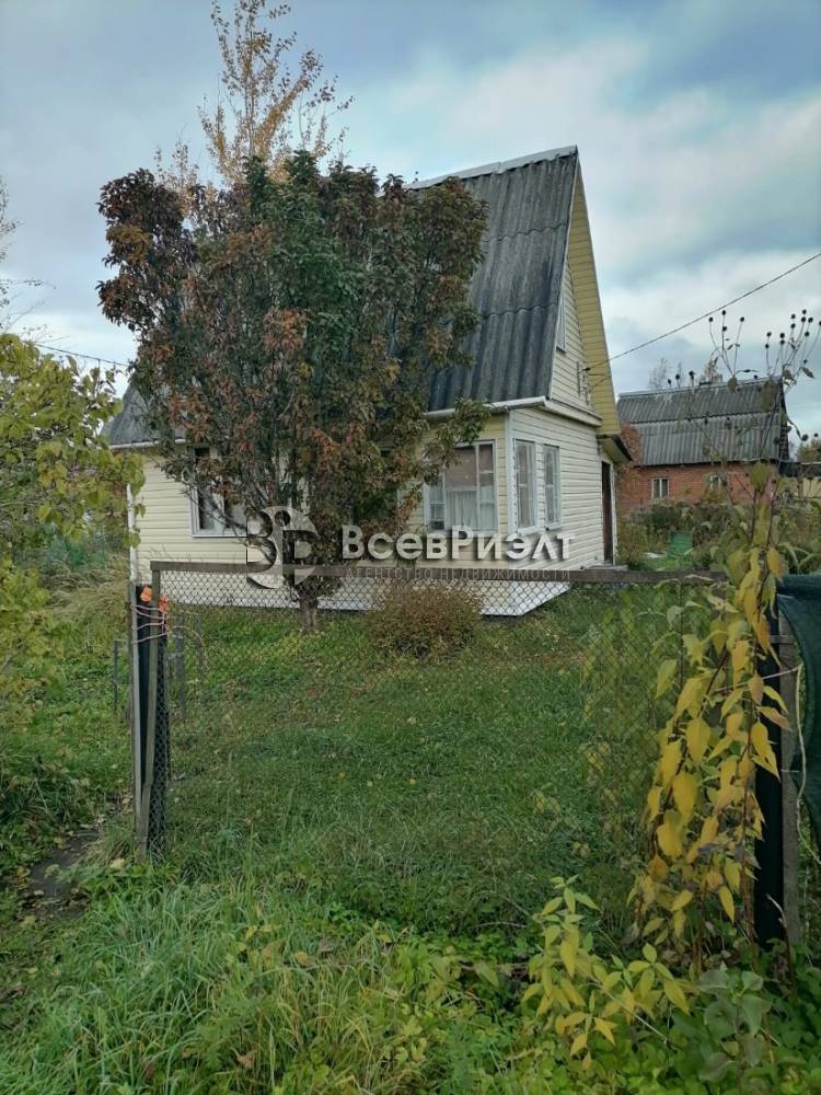 3изображение whatsapp 2025-10-13 в 10.09.19_9f3acbc6