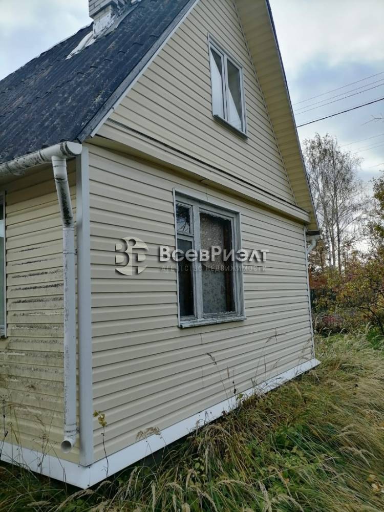 7изображение whatsapp 2025-10-13 в 10.09.25_10a31580