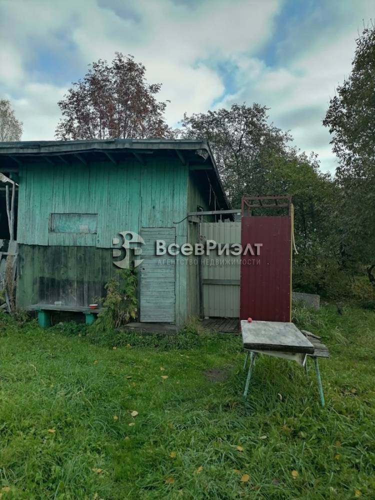 9изображение whatsapp 2025-10-13 в 10.09.26_e282f53c