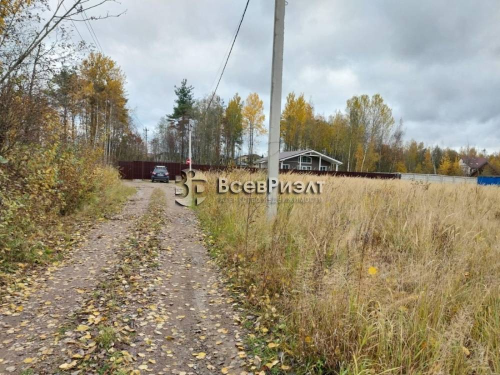 4uchastok-massiv-novosele-petrovskaya-ulica-2665105253-1