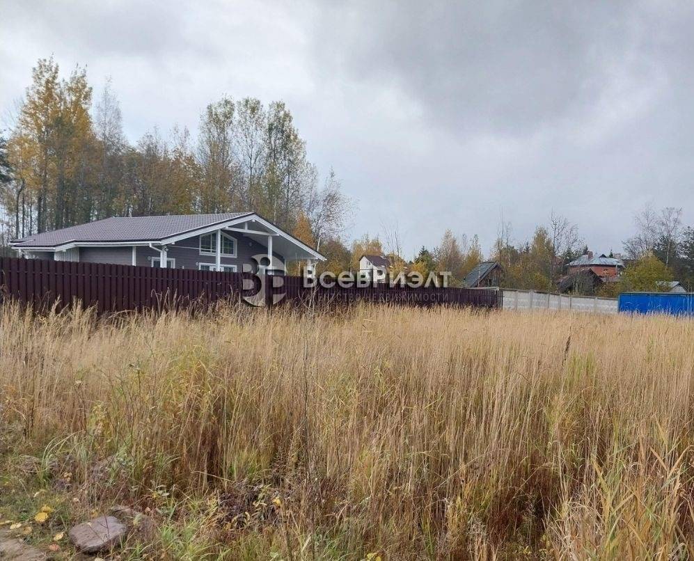 5uchastok-massiv-novosele-petrovskaya-ulica-2665310214-1