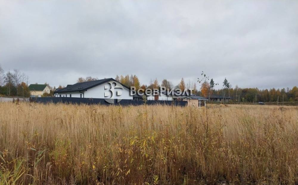 7uchastok-massiv-novosele-petrovskaya-ulica-2665301413-1