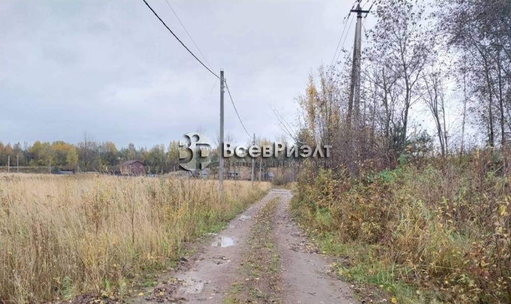 8uchastok-massiv-novosele-petrovskaya-ulica-2665301429-1