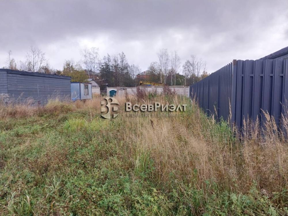 4изображение whatsapp 2025-10-14 в 13.33.20_06205c18