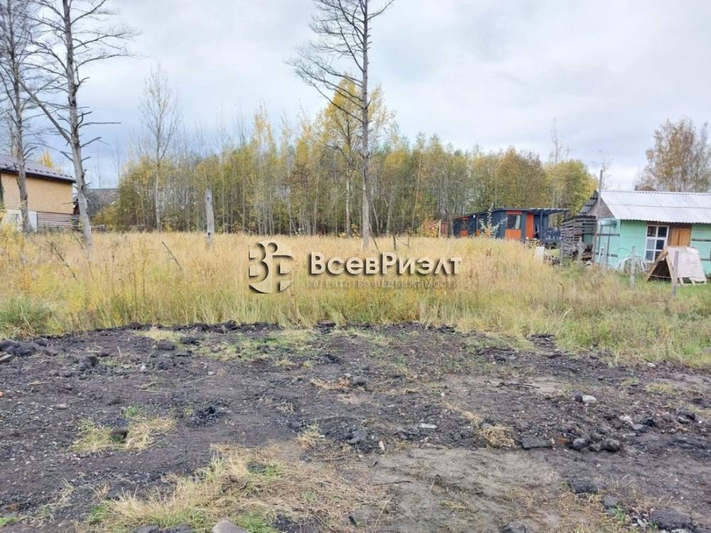 6uchastok-massiv-novosele-petrovskaya-ulica-2665797201-1