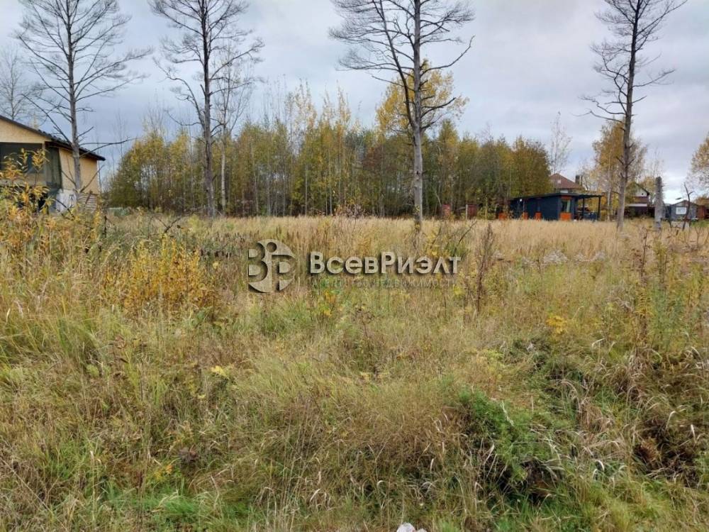 7uchastok-massiv-novosele-petrovskaya-ulica-2665797202-1