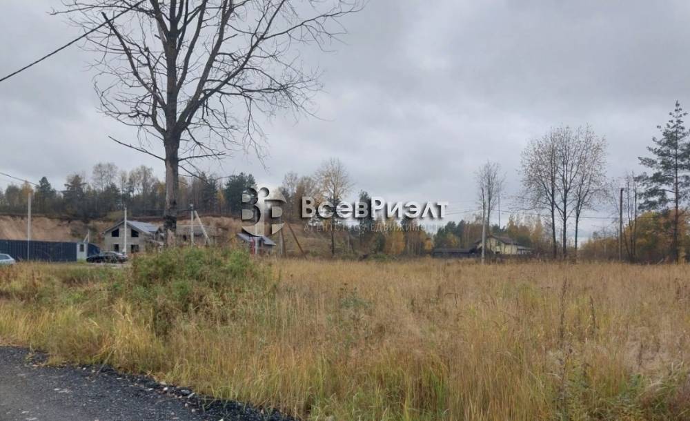 4uchastok-massiv-novosele-petrovskaya-ulica-2667198350-1