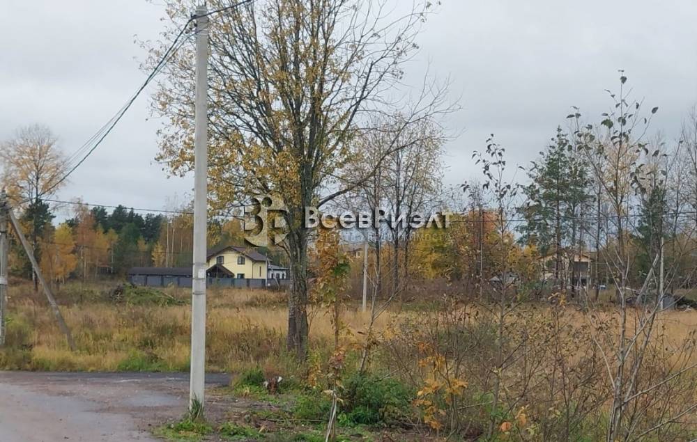 5uchastok-massiv-novosele-petrovskaya-ulica-2667198769-1