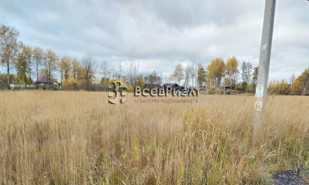 6uchastok-massiv-novosele-petrovskaya-ulica-2667199277-1