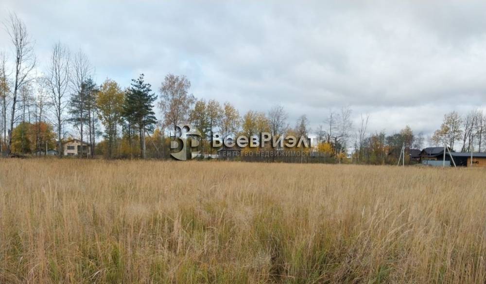 8uchastok-massiv-novosele-petrovskaya-ulica-2667200070-1