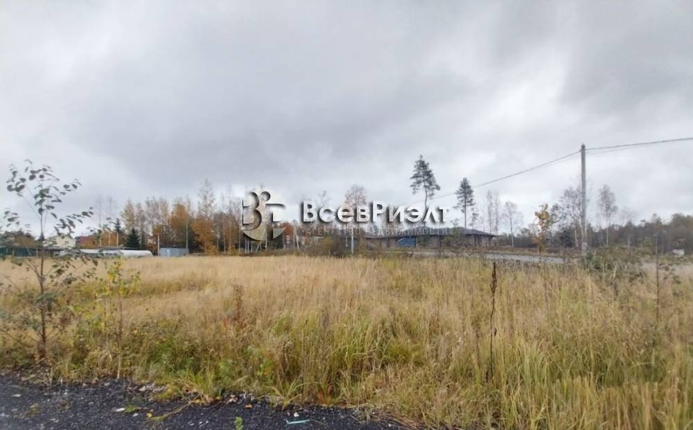 9uchastok-massiv-novosele-petrovskaya-ulica-2667200308-1