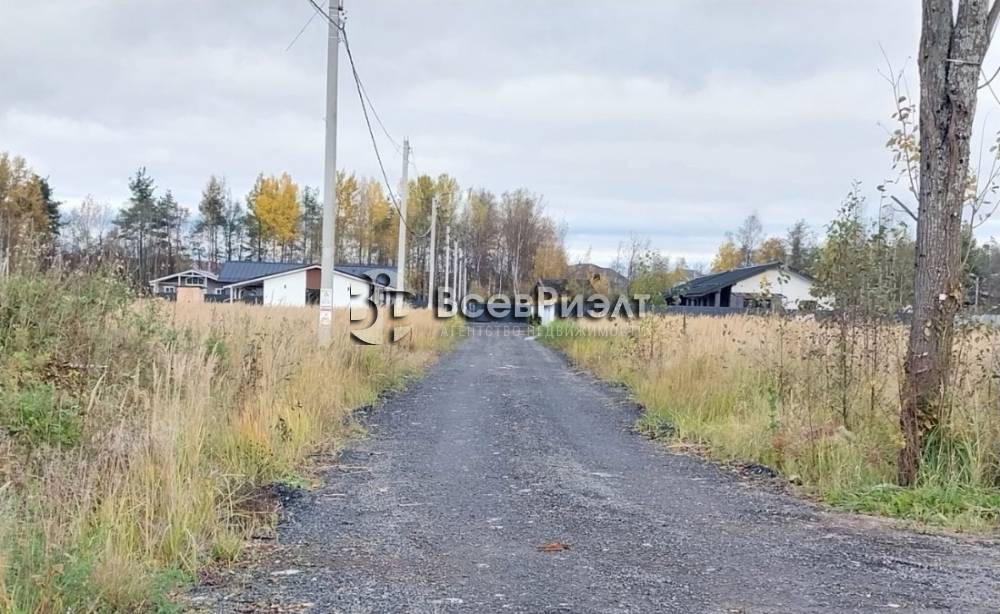 10uchastok-massiv-novosele-petrovskaya-ulica-2667201047-1