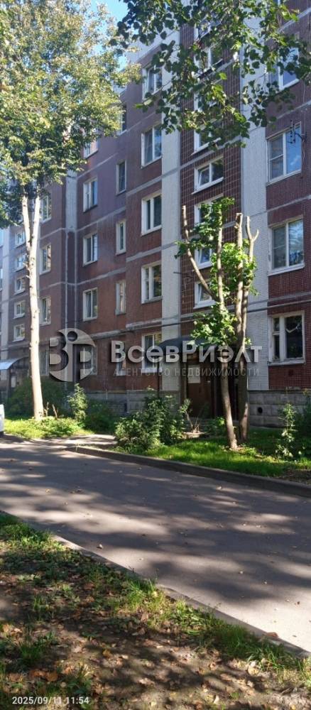 2изображение whatsapp 2025-09-12 в 16.32.10_3c296f7b