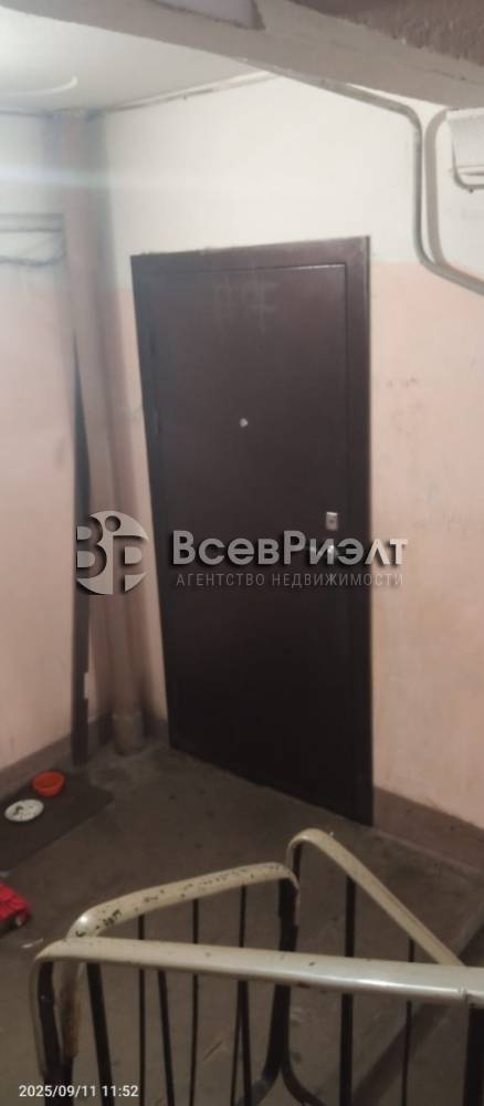 4изображение whatsapp 2025-09-12 в 16.32.11_3f94291f