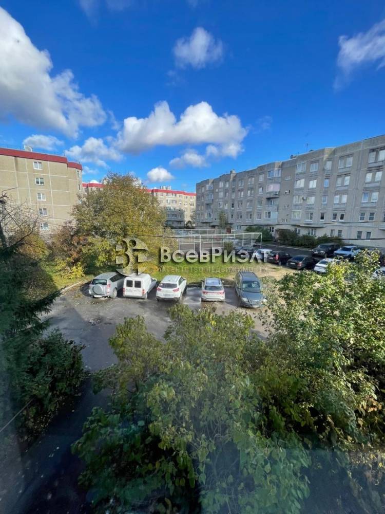 8визображение whatsapp 2025-10-21 в 12.19.22_ebb9c687