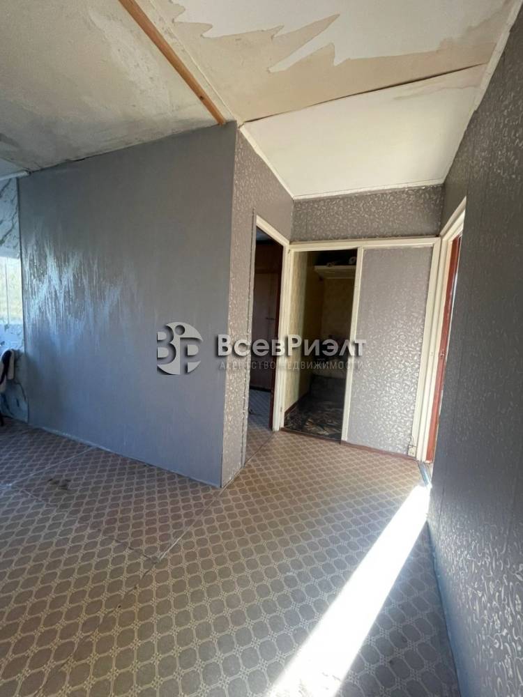 4изображение whatsapp 2025-10-21 в 12.17.45_a5c07815