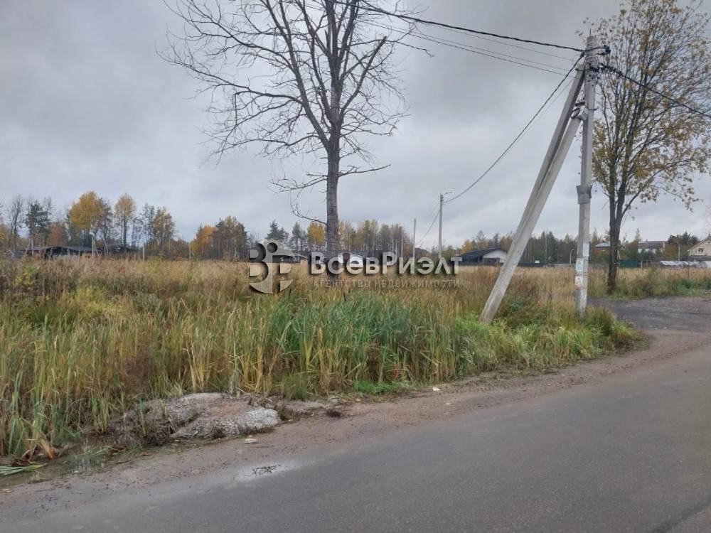 2изображение whatsapp 2025-10-22 в 16.35.43_2a123811