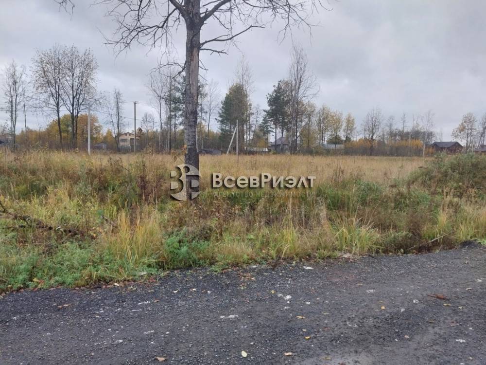 3изображение whatsapp 2025-10-22 в 16.35.45_1c179519