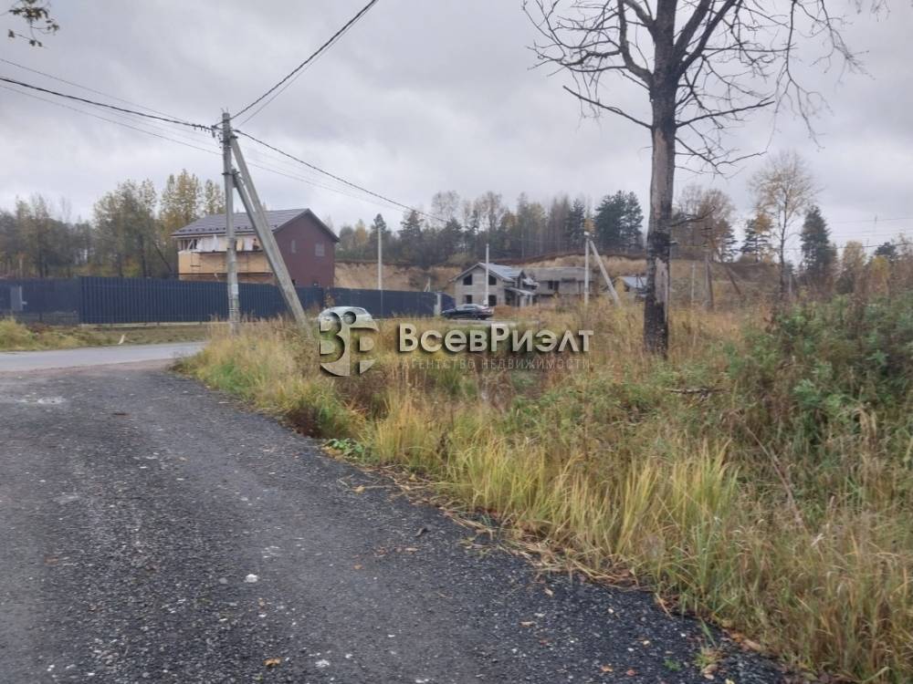 5изображение whatsapp 2025-10-22 в 16.35.45_8e1acecd