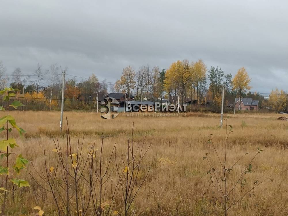 7изображение whatsapp 2025-10-22 в 16.35.45_c8421499