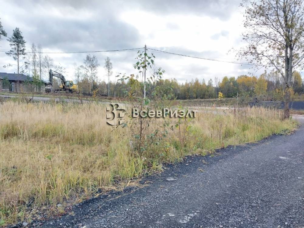 4изображение whatsapp 2025-10-29 в 18.11.48_967e20a5