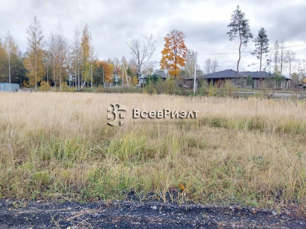 5изображение whatsapp 2025-10-29 в 18.11.51_16955447