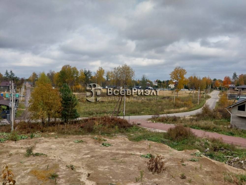 8изображение whatsapp 2025-10-29 в 18.11.52_05e76f72