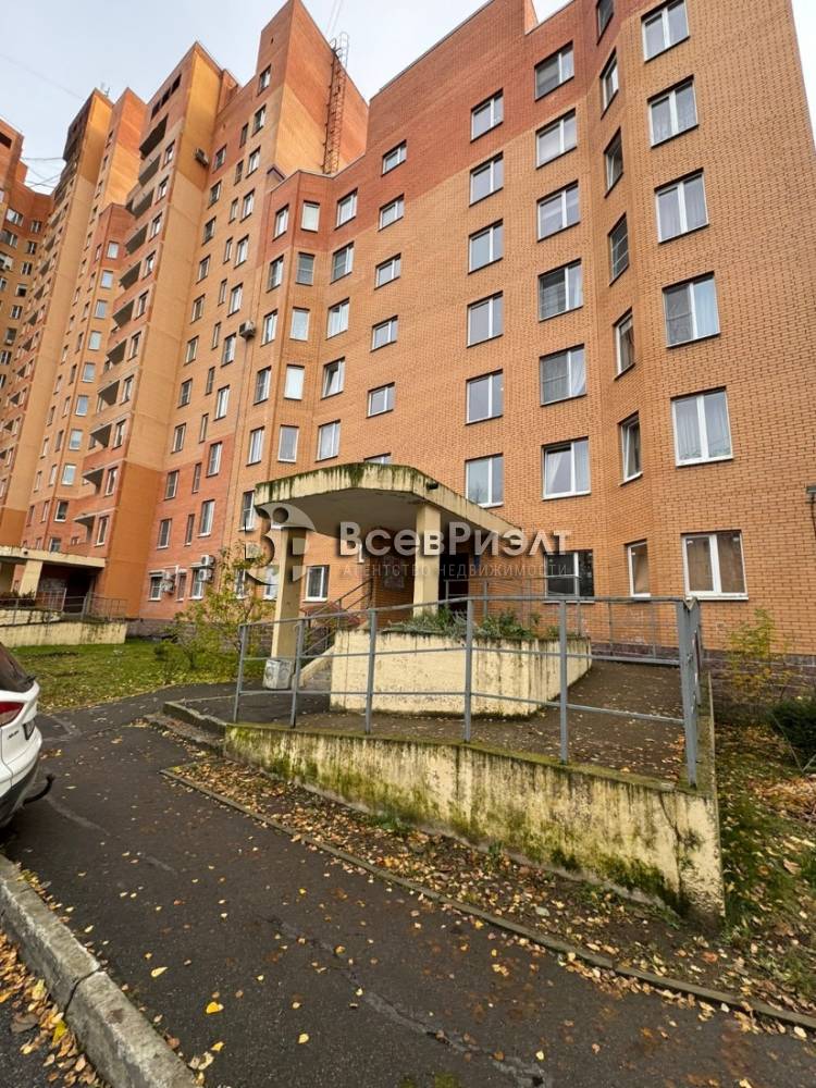 3изображение whatsapp 2025-10-31 в 14.44.48_3492b8d4