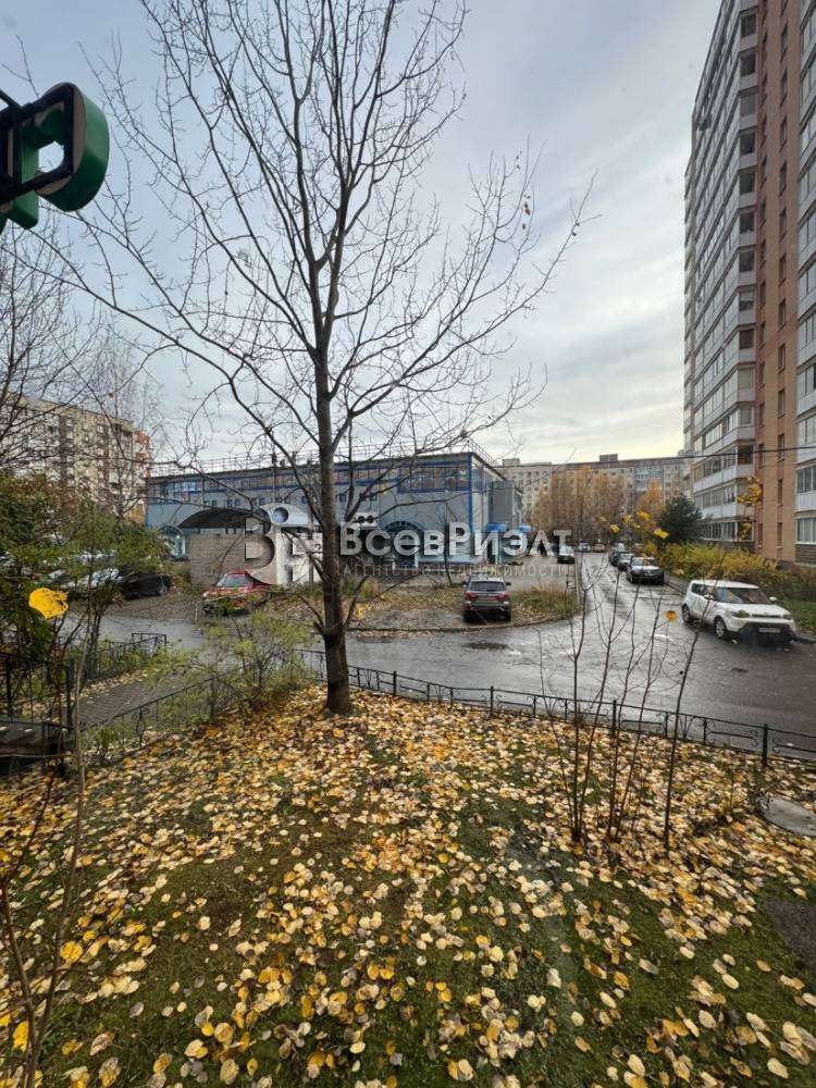 16изображение whatsapp 2025-10-31 в 14.44.52_c18cf8ec