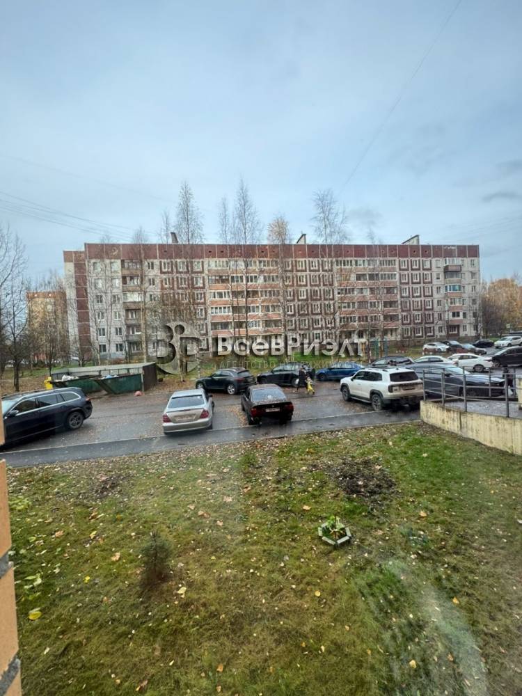 17изображение whatsapp 2025-10-31 в 14.44.50_0a37c350