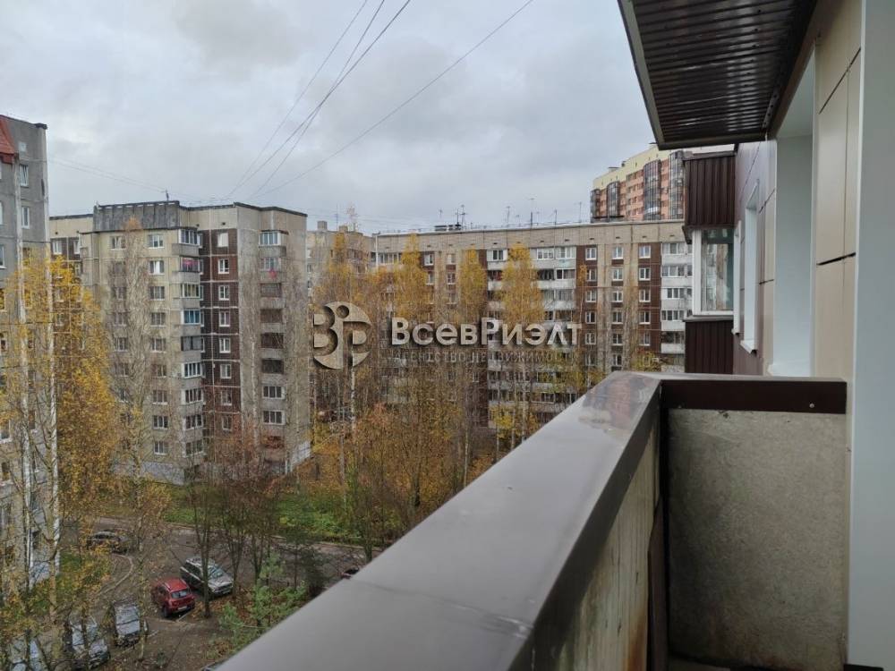 27изображение whatsapp 2025-10-31 в 14.22.33_ef580926