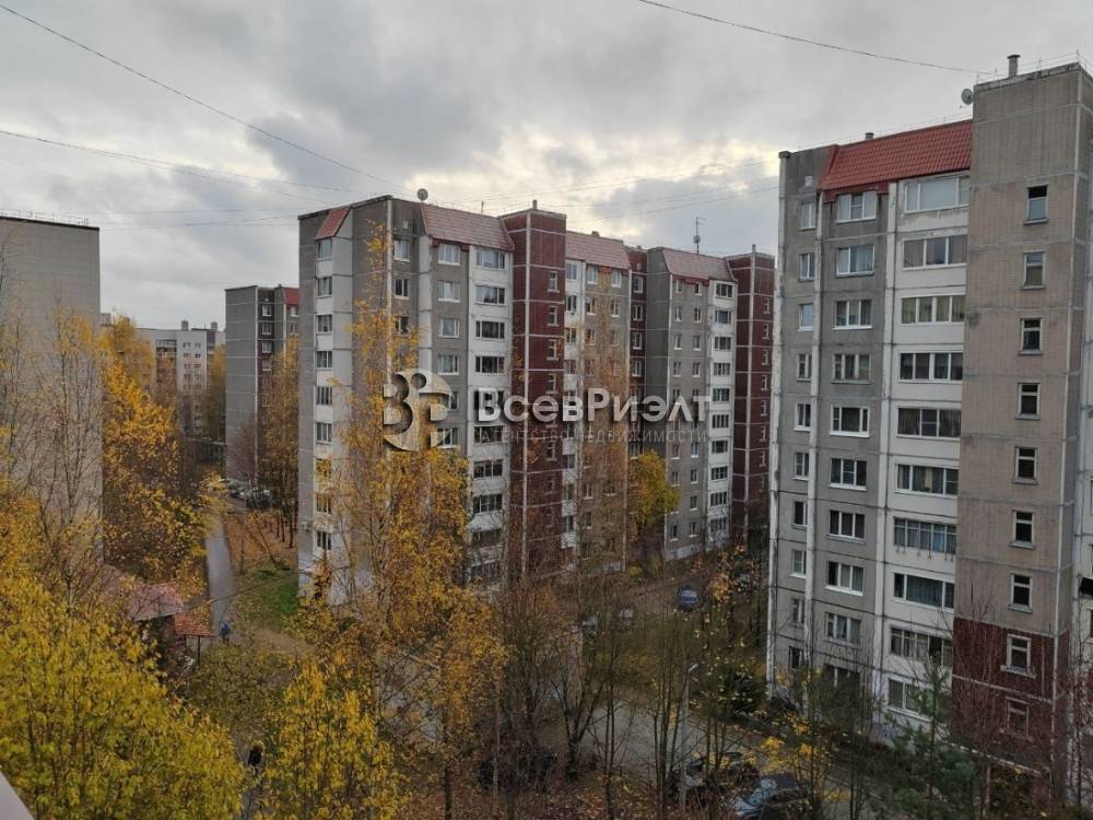 28изображение whatsapp 2025-10-31 в 14.22.14_047c0f5b