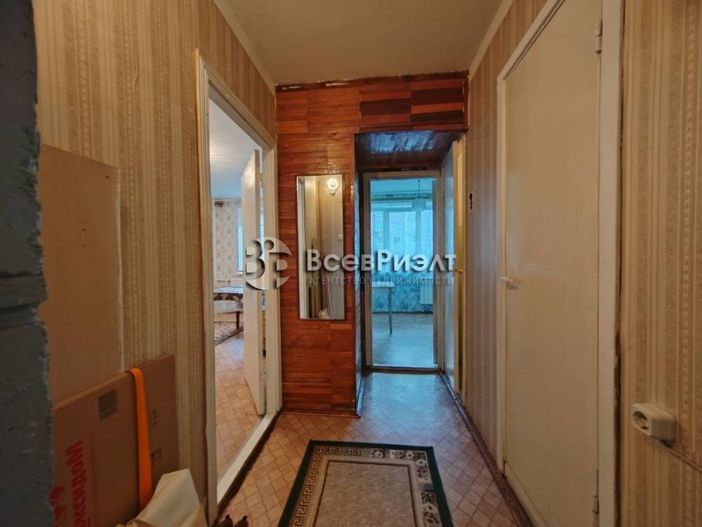 3изображение whatsapp 2025-10-31 в 14.22.21_e0735f9c