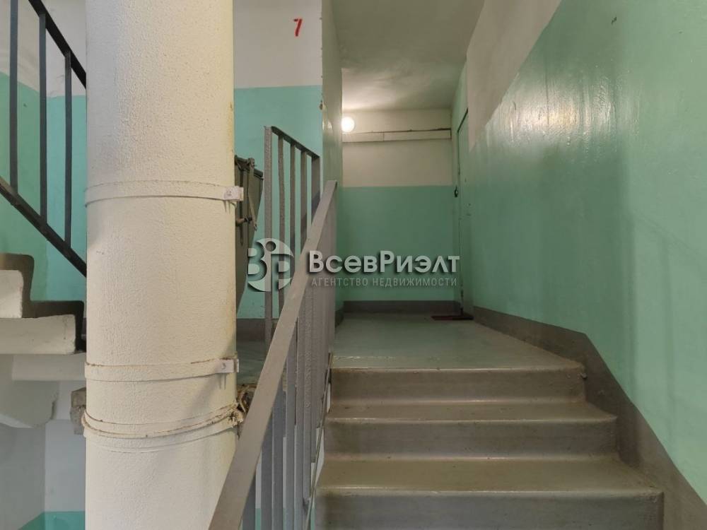 37аизображение whatsapp 2025-10-31 в 14.22.01_fa7085a3