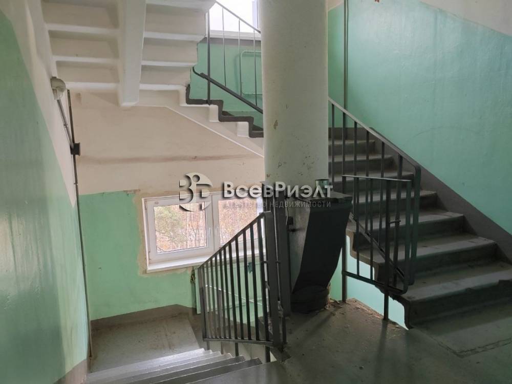 37изображение whatsapp 2025-10-31 в 14.22.04_93f248bb